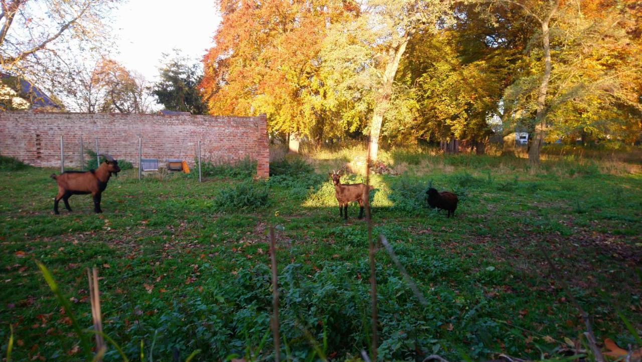 Le Jardin Des Ecureuils Hotell Demuin Exteriör bild